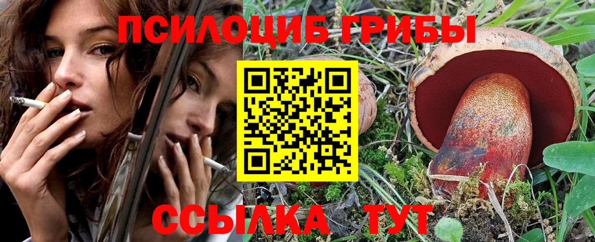Псилоцибиновые грибы Psilocybine cubensis  Псилоцибиновые грибы Cubensis  Вход с VPN  Дедовск 